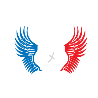Valion326's emblem