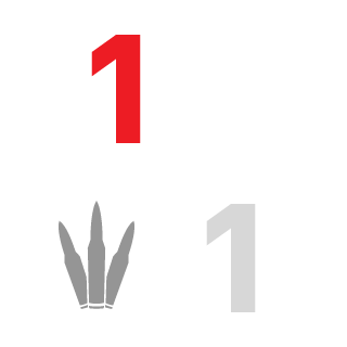 Garrati's emblem