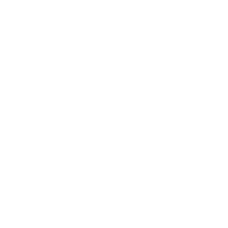 leekelv42's emblem