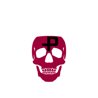 salvarlicabbar's emblem