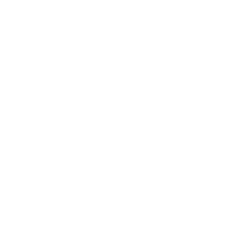 gunmoons's emblem