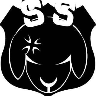 SuicideSquad's emblem