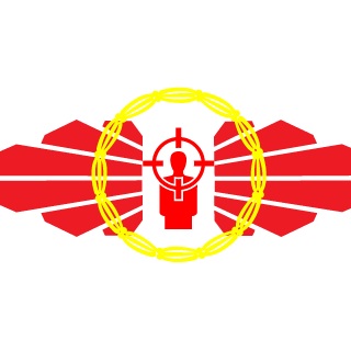 naixianBIGZ's emblem