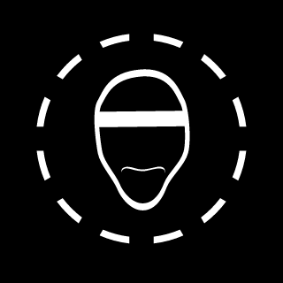 VT6666's emblem