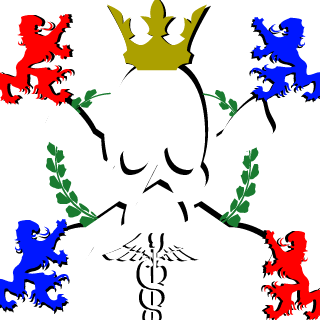 d3lusiional's emblem