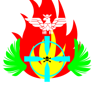 fsxbestpilot's emblem