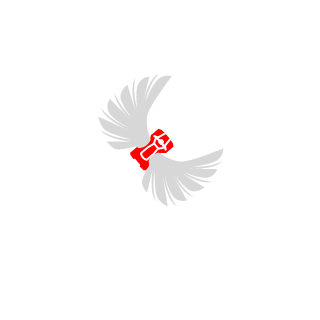 SmileAlDay's emblem