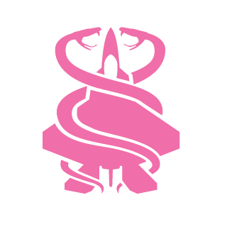 NiftyOne1's emblem