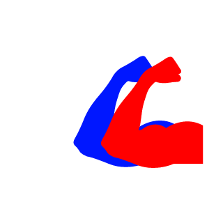 Voin-NYUSA's emblem