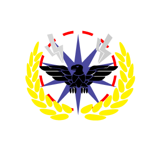 ShadyShame's emblem