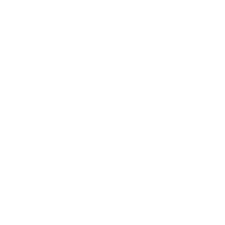 zibsb's emblem