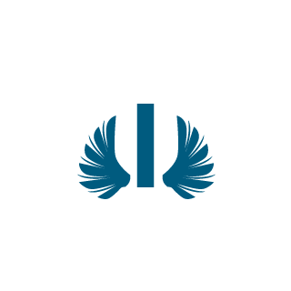 immerion's emblem