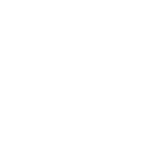paul al1en's emblem