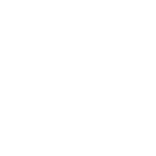 Pradetor1's emblem