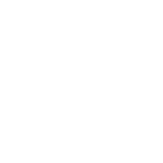 vicin832008's emblem