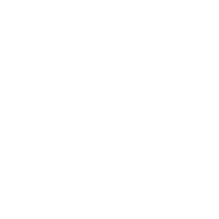 Slyfox2025's emblem