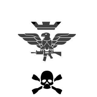511ciolo511's emblem