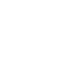 DNAX32's emblem