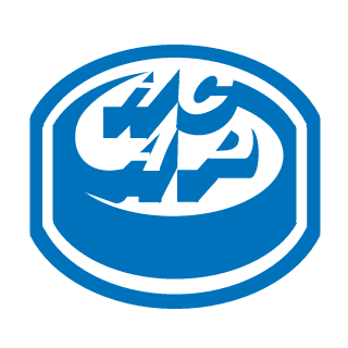 Topper_rtcw's emblem