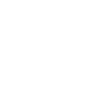 GamingLPinHD's emblem
