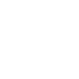 Allex-LD's emblem