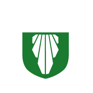 Severo-96's emblem