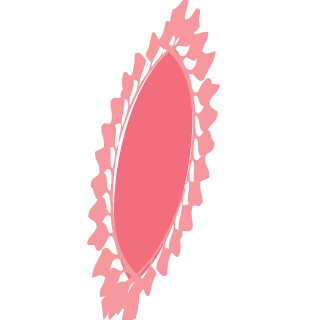 MekZera's emblem