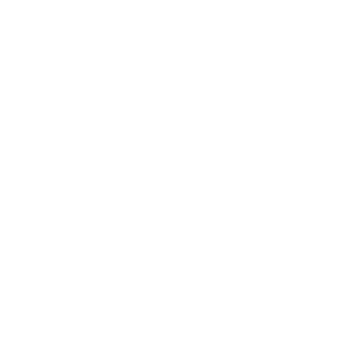 ANJAYJR's emblem