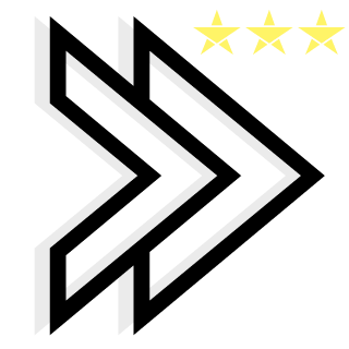 a-hardboiled-cop's emblem