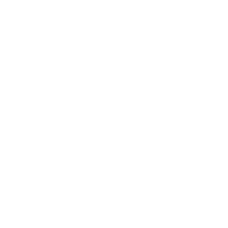 Wolfx0907's emblem