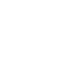 ByNyce's emblem