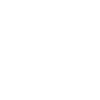 FourtyFiveGames's emblem