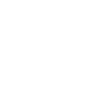 CT4232's emblem