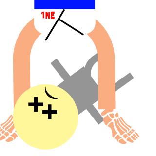 Tier 1ne's emblem
