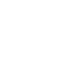 Filion28's emblem