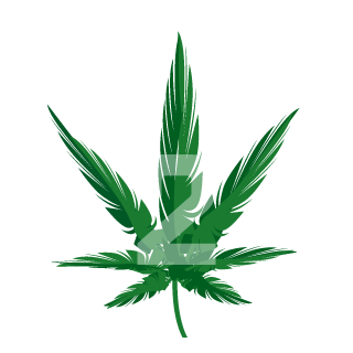 MeiDio0's emblem