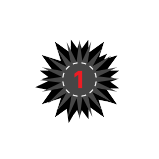 Terminator08221's emblem