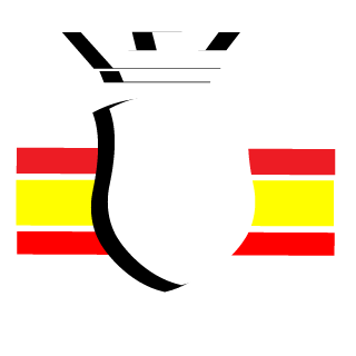 0o_CiSCu_o0's emblem