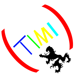 Timi20's emblem
