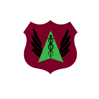 Lncy_Skeed's emblem