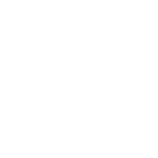 gr4viator's emblem
