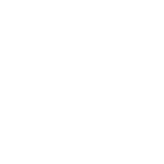Chidi-14's emblem