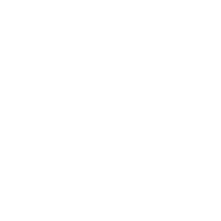 ArianWarior's emblem