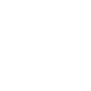 Shane_Sara's emblem