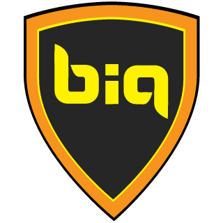 BiA Steel Panthers's emblem