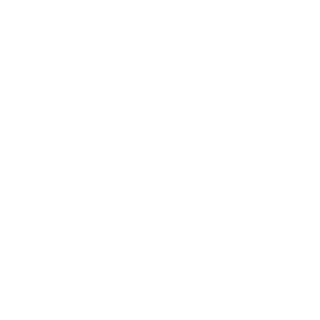 53san's emblem