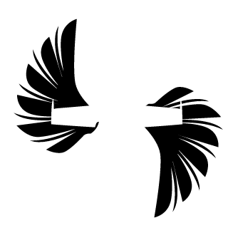 NoobMotivado's emblem