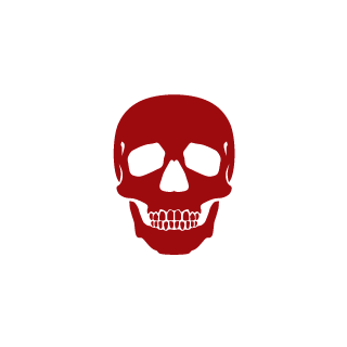 zyga1313's emblem