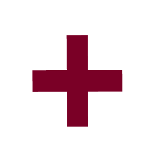 ASeaRaider's emblem
