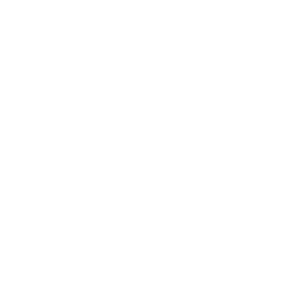 VirtualBlood's emblem